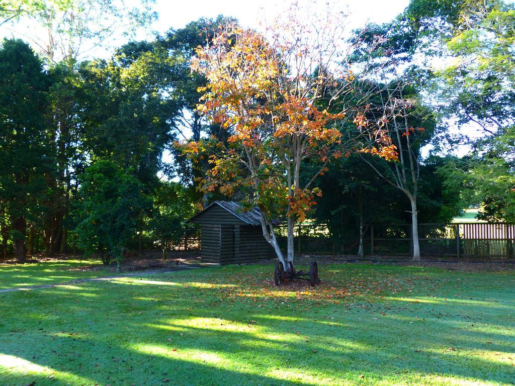 Mccarthy Lake House Maleny Habitación foto