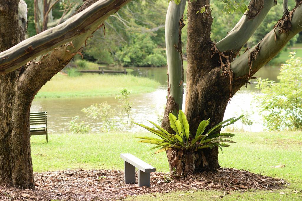 Mccarthy Lake House Maleny Exterior foto
